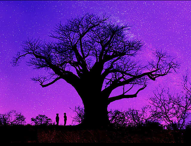 3. Emergency AND Emergence