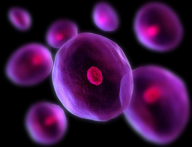 4. Three Things Great Leaders In Contemporary Organisations Do