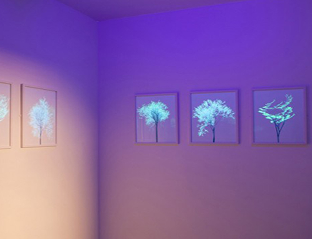 FEATURE- Turning a great idea into a working solution